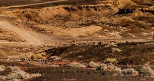 镜报：霍伊伦德今夏或加盟那不勒斯，孔蒂有信心让他重回巅峰